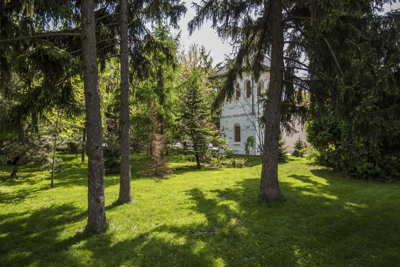 Hotel Belvedere Brăila Екстериор снимка